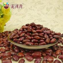 2012 new crop bulk organic dark red kidney bean long type